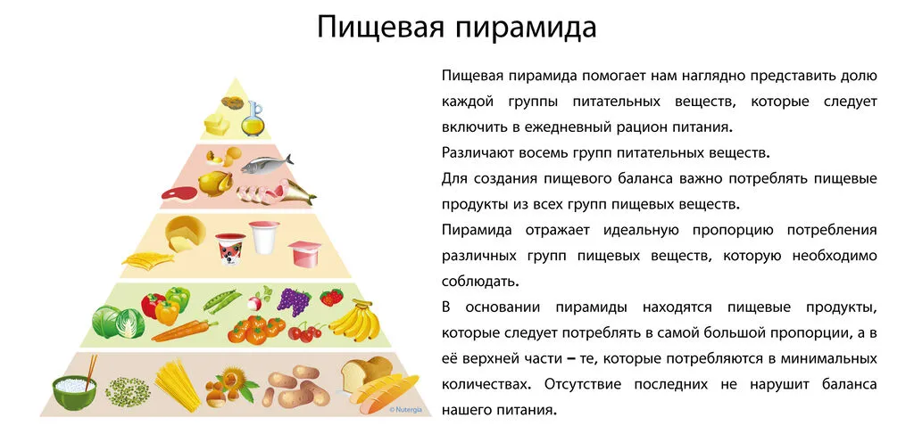 Pyramide-alimentaire-russe